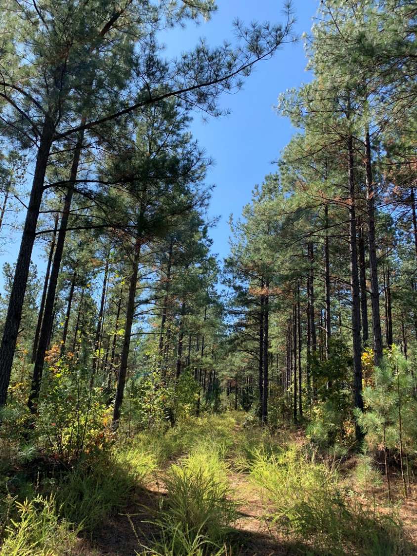 Buckingham County Virginia Land for Sale