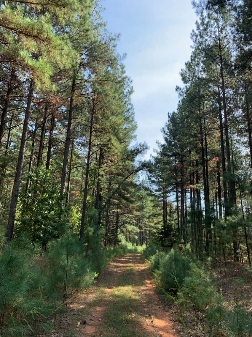 Buckingham County Virginia Land for Sale