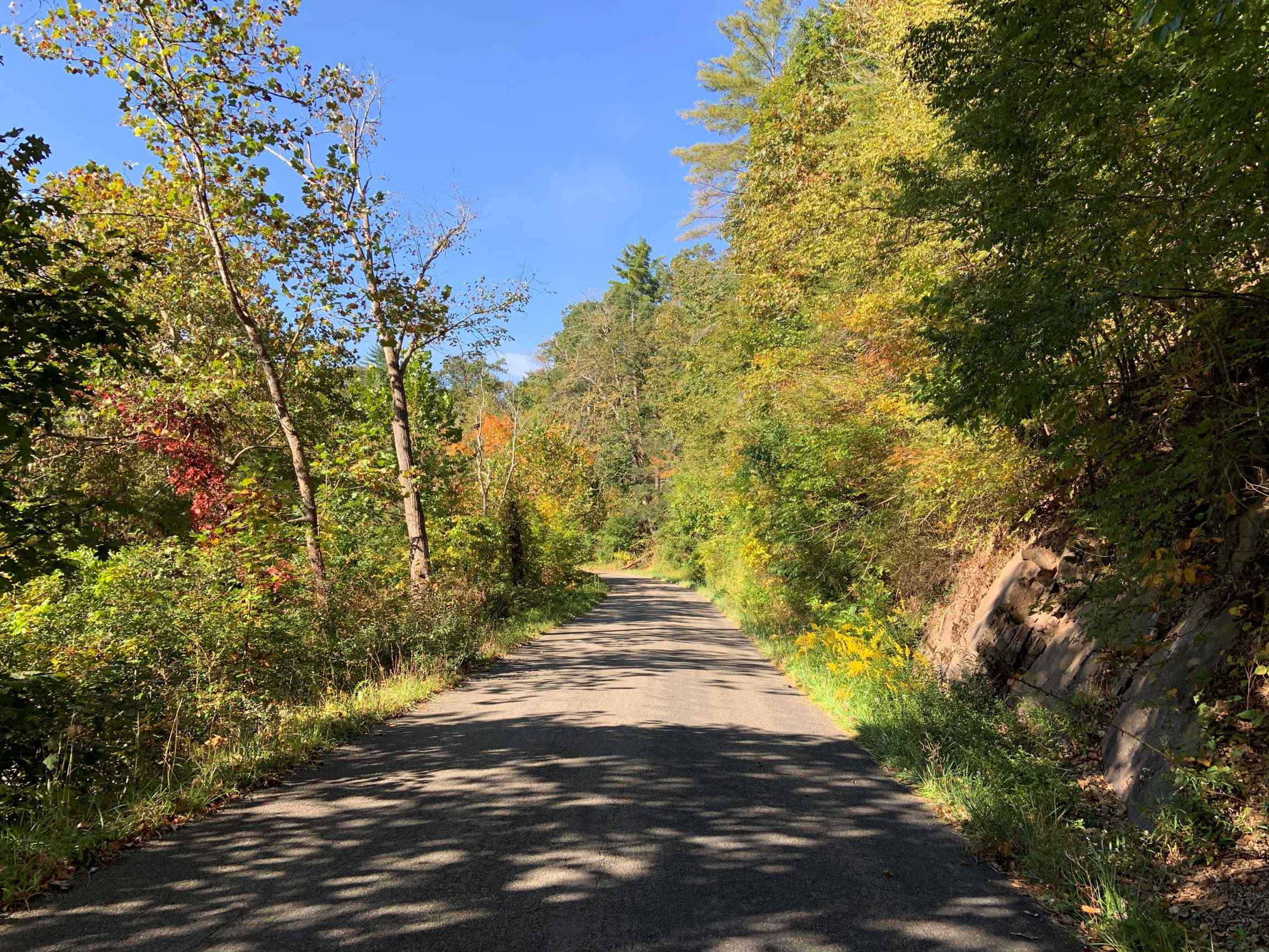 Advance Land and Timber Land for sale property_imgs/21~28.jpg