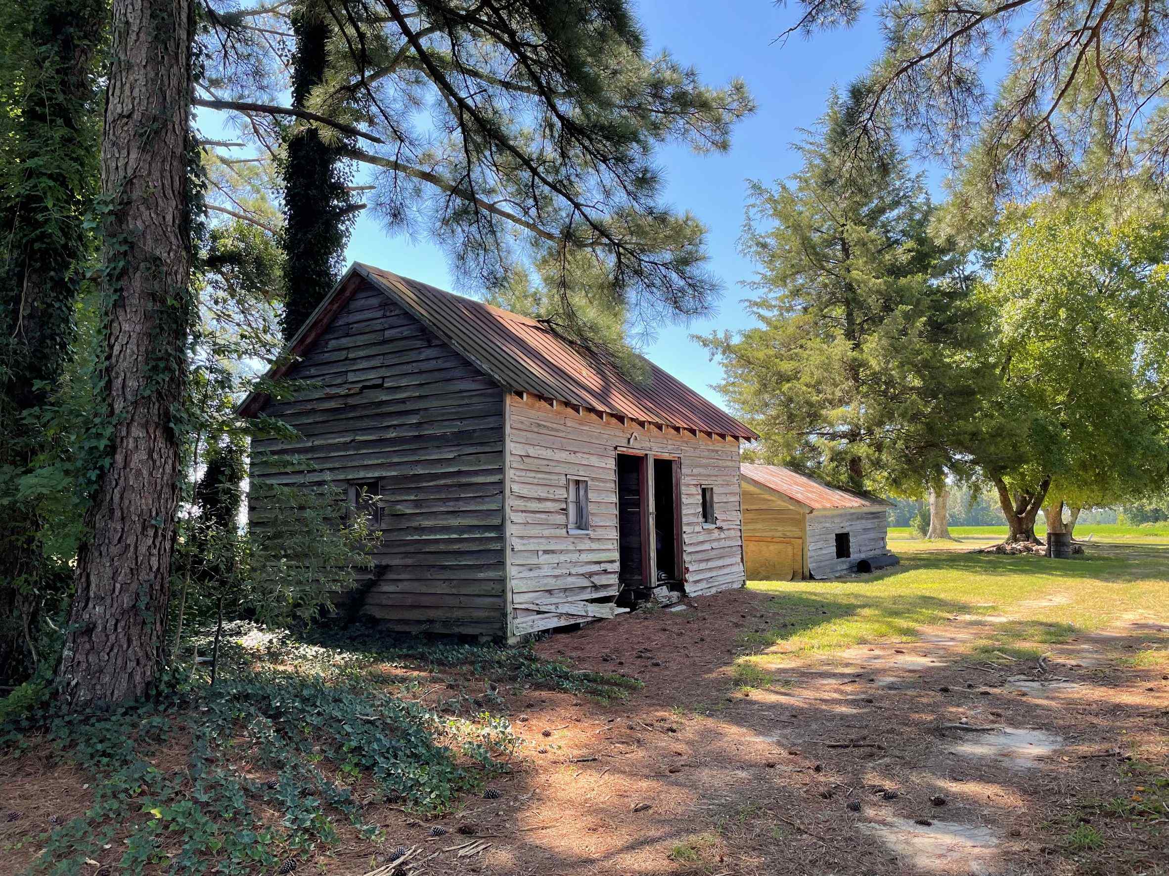 Advance Land and Timber Land for sale property_imgs/21~33.jpg