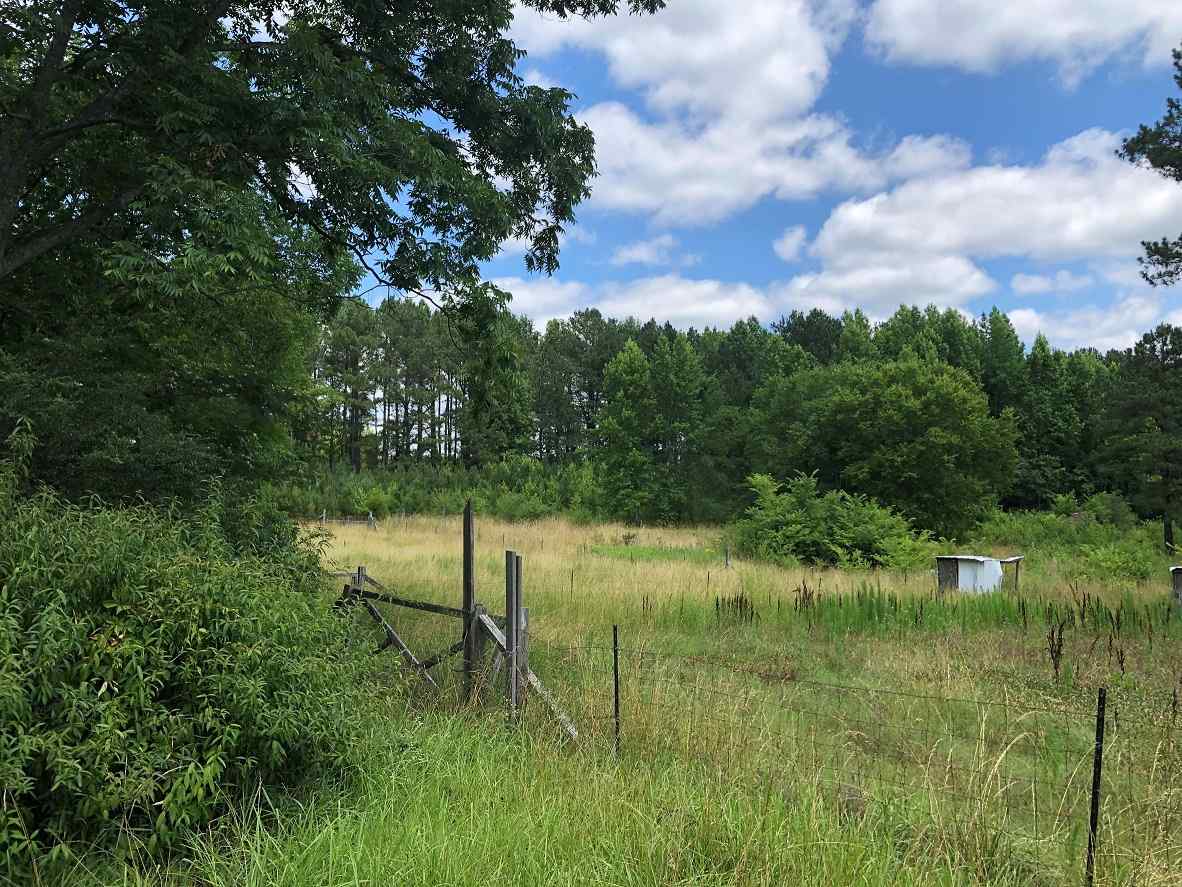 Advance Land and Timber Land for sale property_imgs/21~45.jpg