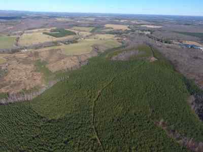 Advance Land and Timber Land for sale property_imgs/222~0.jpg