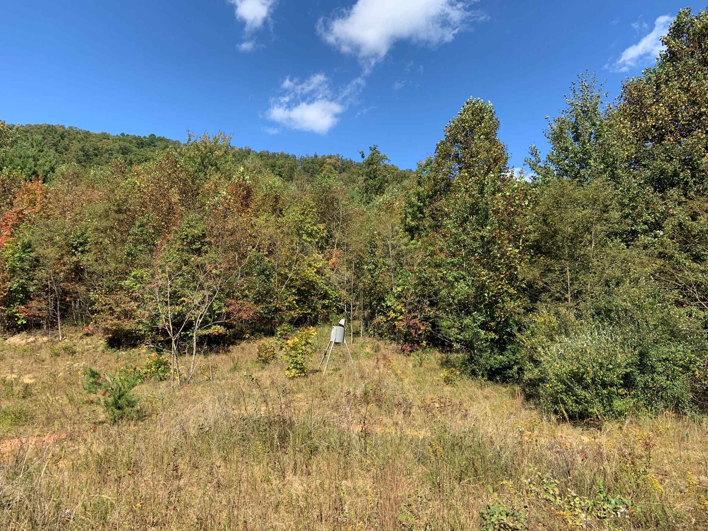 Advance Land and Timber Land for sale property_imgs/22~26.jpg