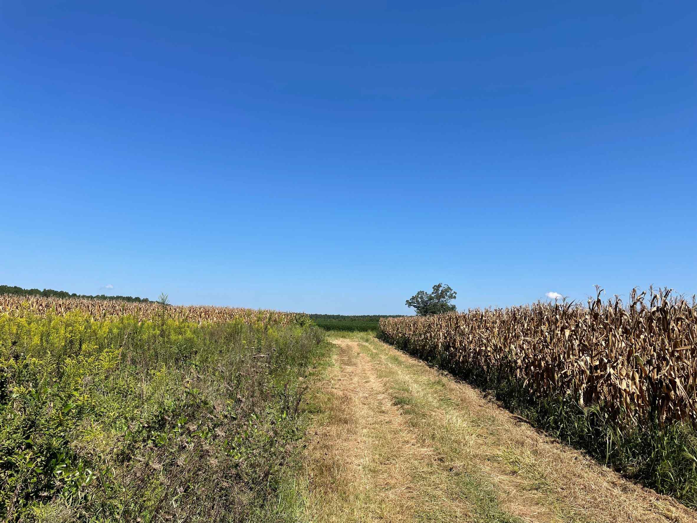 Advance Land and Timber Land for sale property_imgs/22~32.jpg