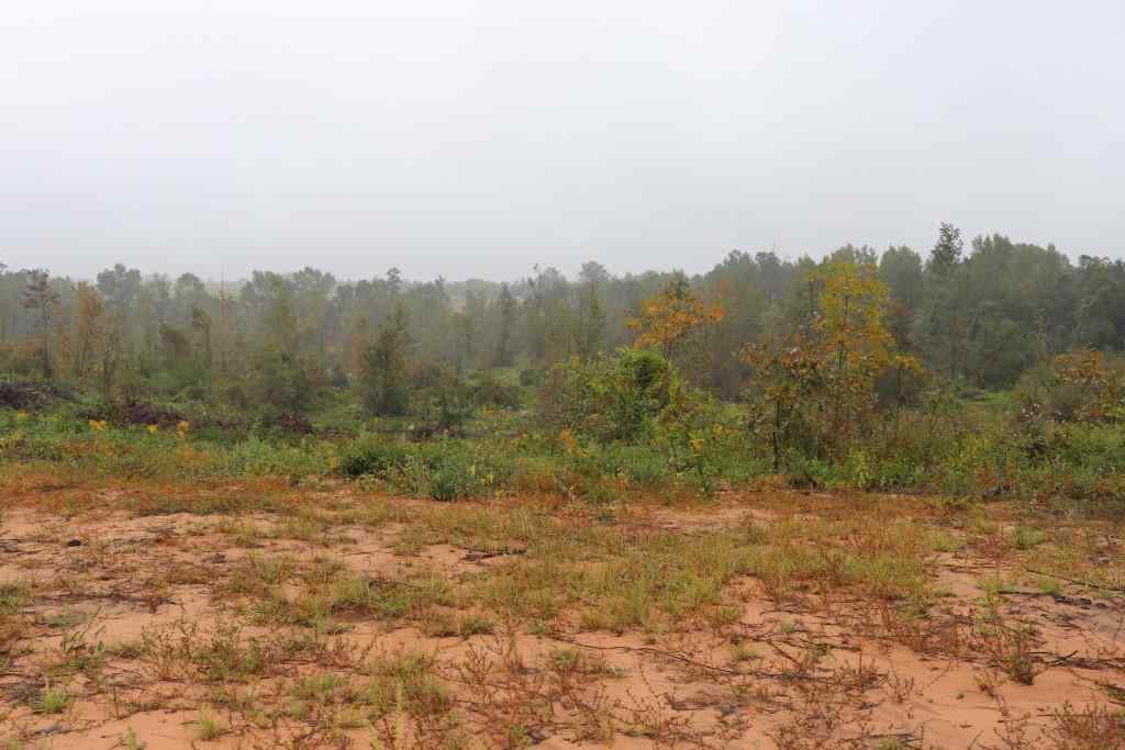 Advance Land and Timber Land for sale property_imgs/23e582ad8087f2c03a5a31c125123f9a_1888.jpg