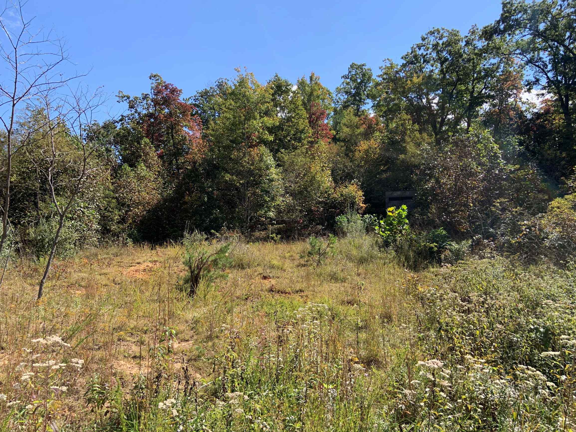 Advance Land and Timber Land for sale property_imgs/23~23.jpg