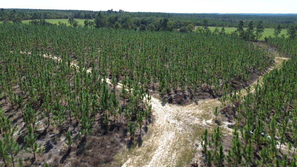 Advance Land and Timber Land for sale property_imgs/248024541dbda1d3fd75fe49d1a4df4d_2332.jpg