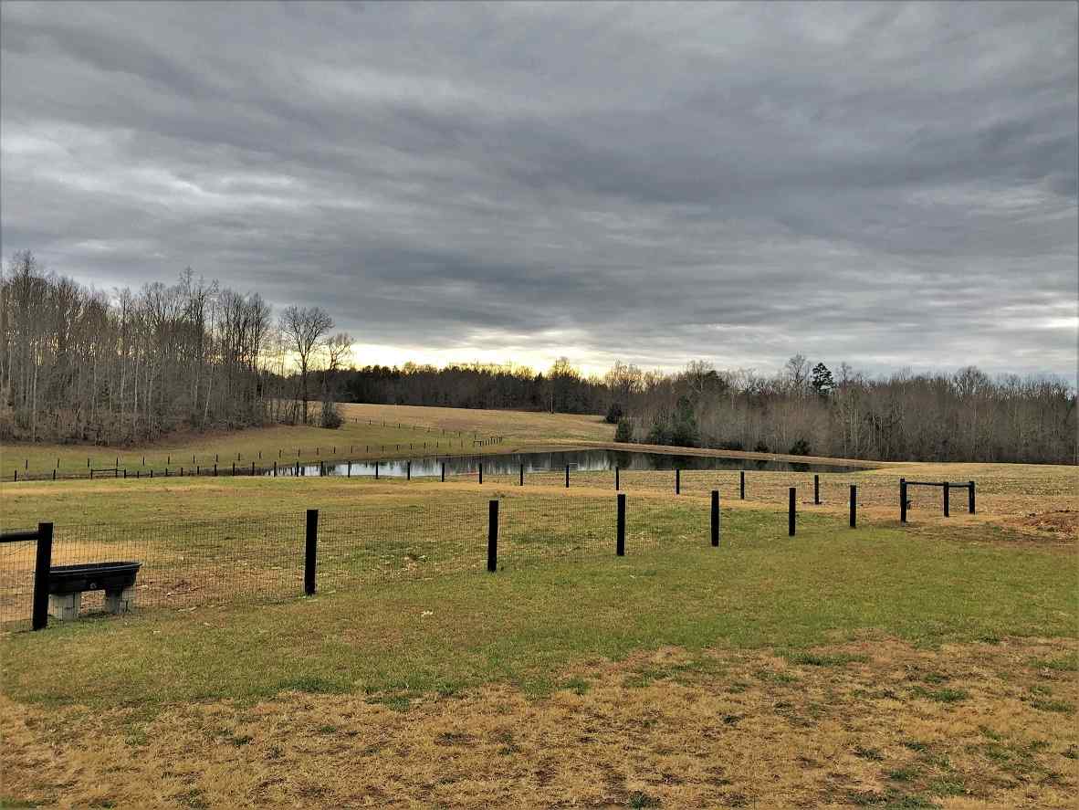 Advance Land and Timber Land for sale property_imgs/24~28.jpg