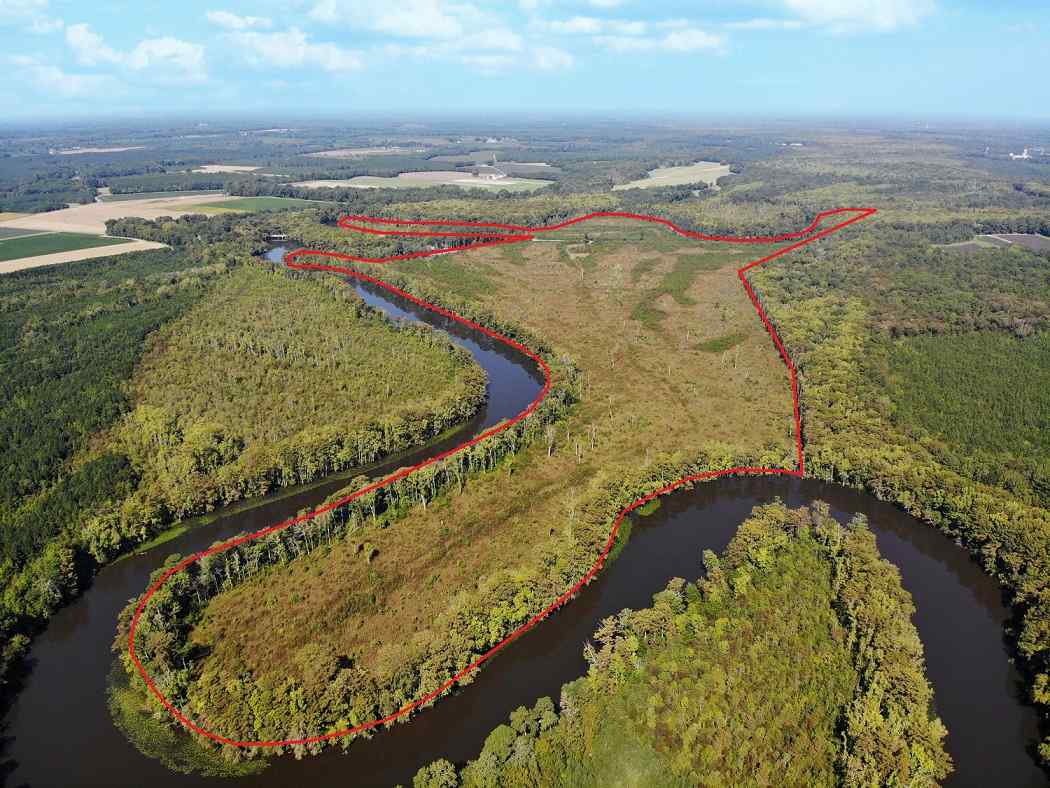 165 +/ Acres of land for sale in Brunswick County, Virginia Advance Land and Timber