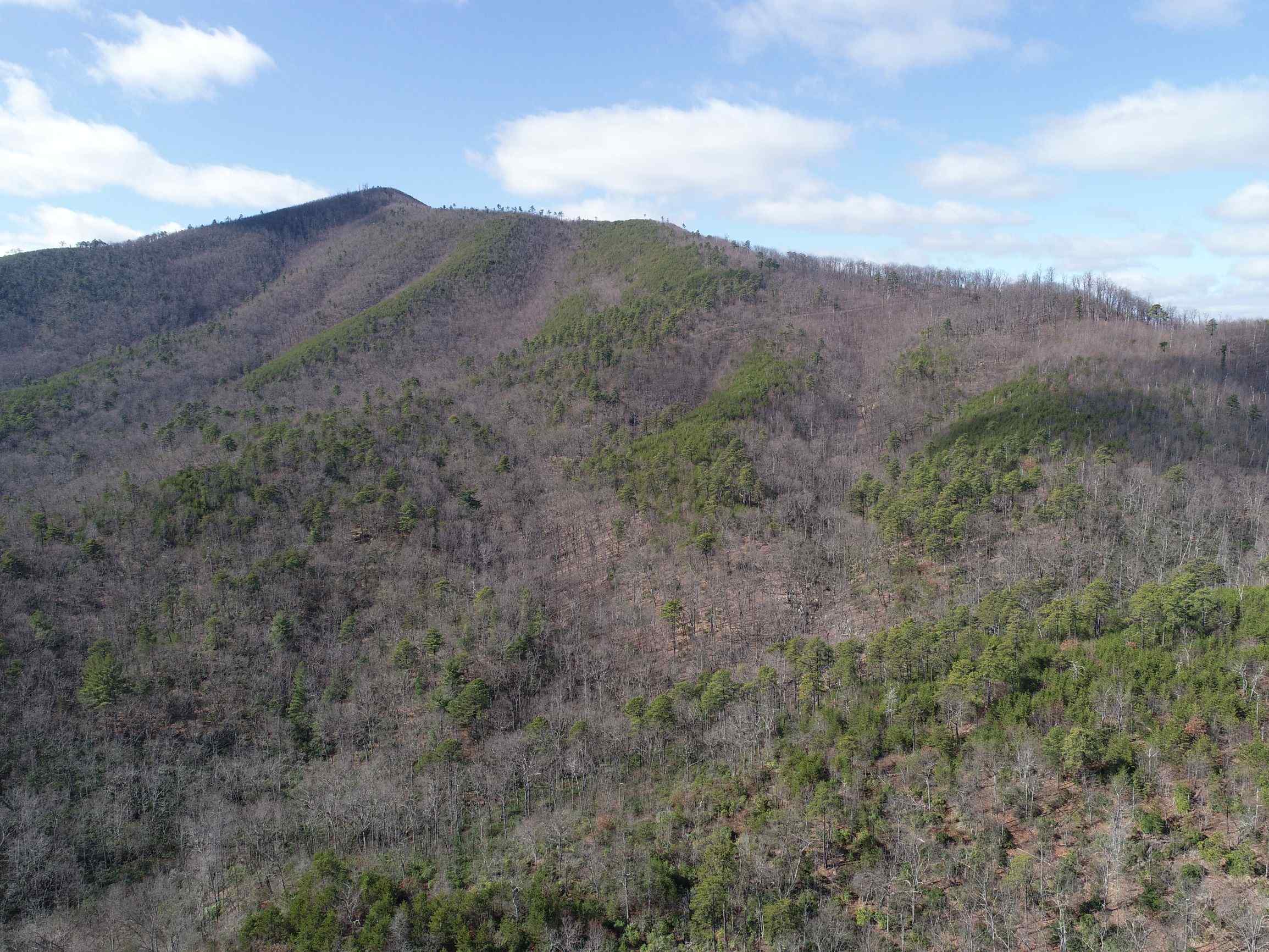 Advance Land and Timber Land for sale property_imgs/25~13.jpg