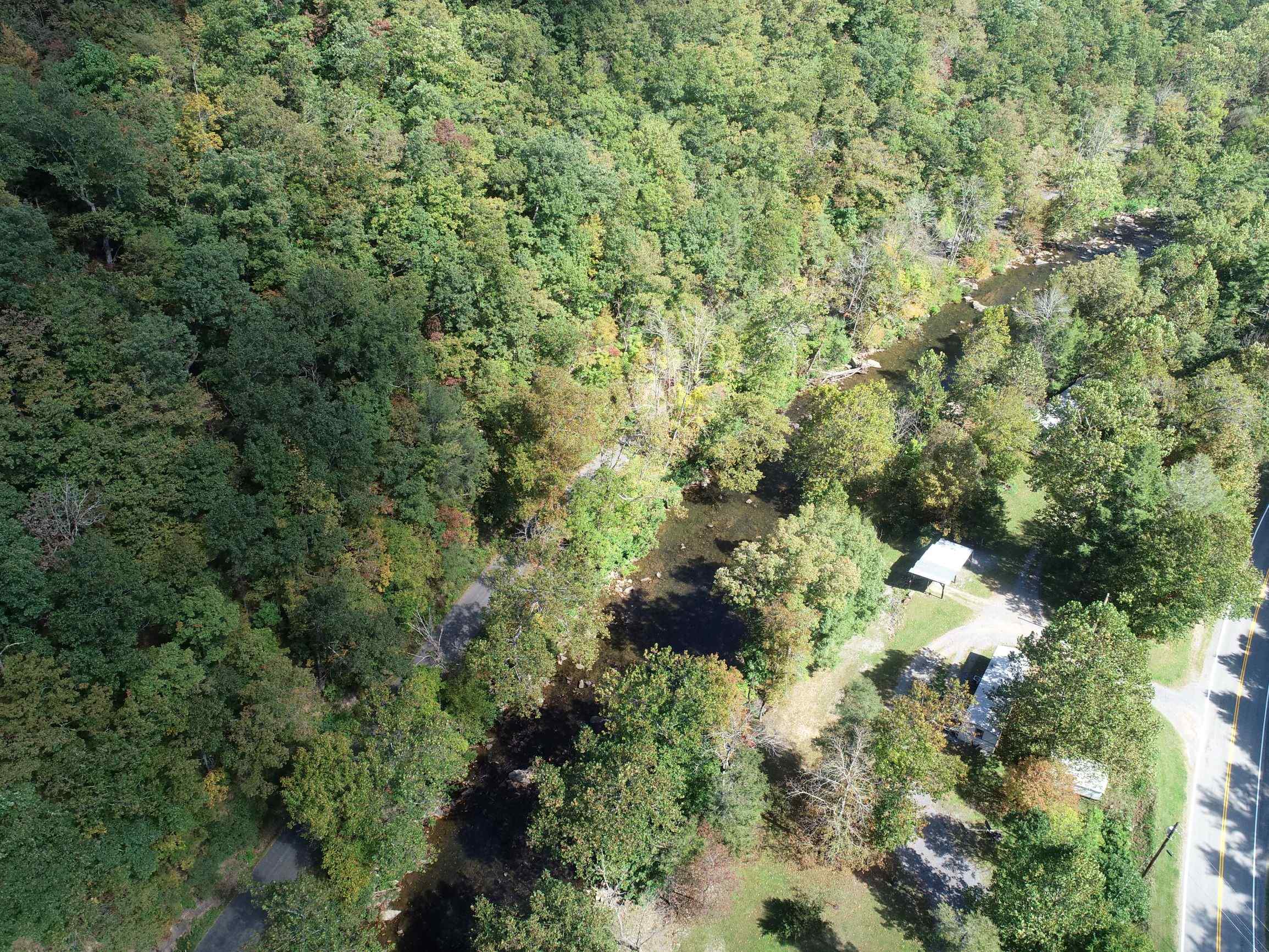 Advance Land and Timber Land for sale property_imgs/25~19.jpg