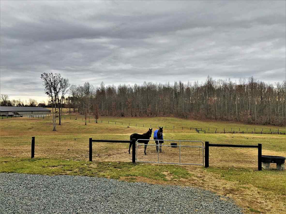 Advance Land and Timber Land for sale property_imgs/25~24.jpg