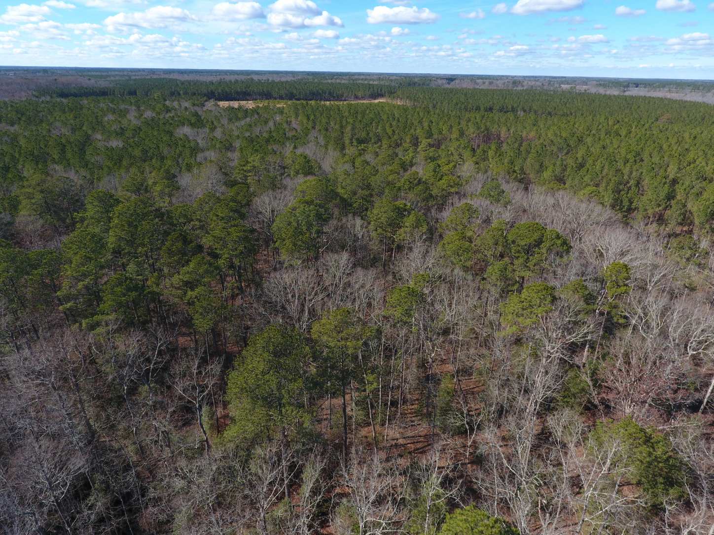 Advance Land and Timber Land for sale property_imgs/25~3.jpg