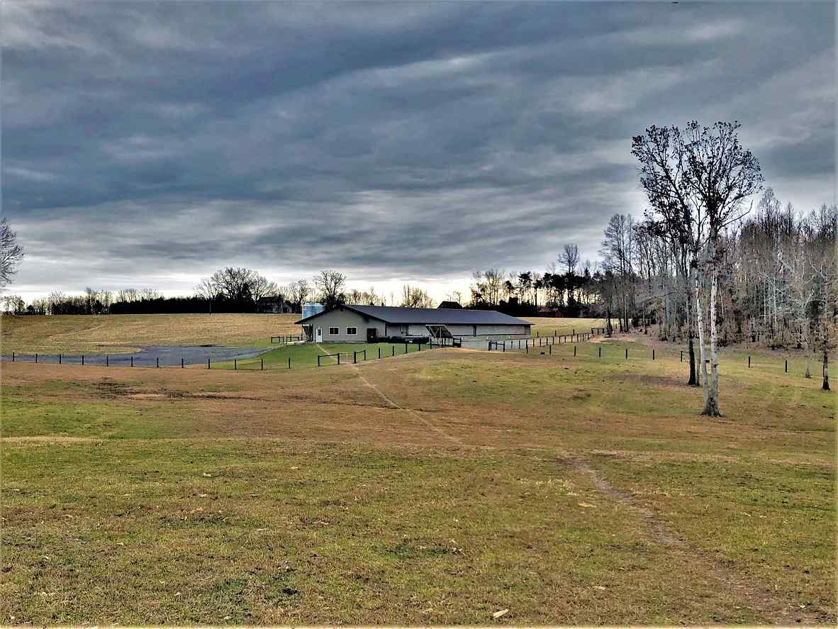 Advance Land and Timber Land for sale property_imgs/26~22.jpg