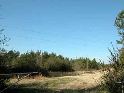 Advance Land and Timber Land for sale property_imgs/276_1.jpg