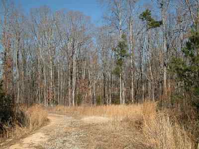 Advance Land and Timber Land for sale property_imgs/276_5.jpg