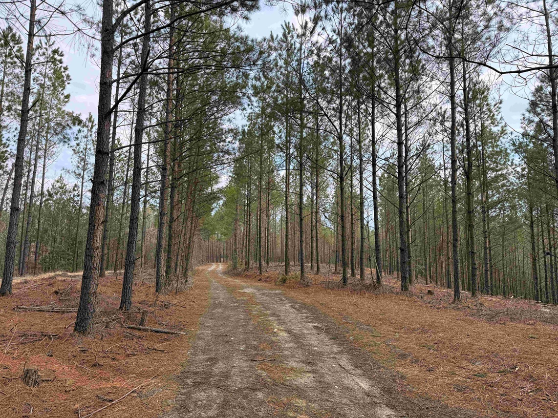 Richmond County Virginia Land for Sale