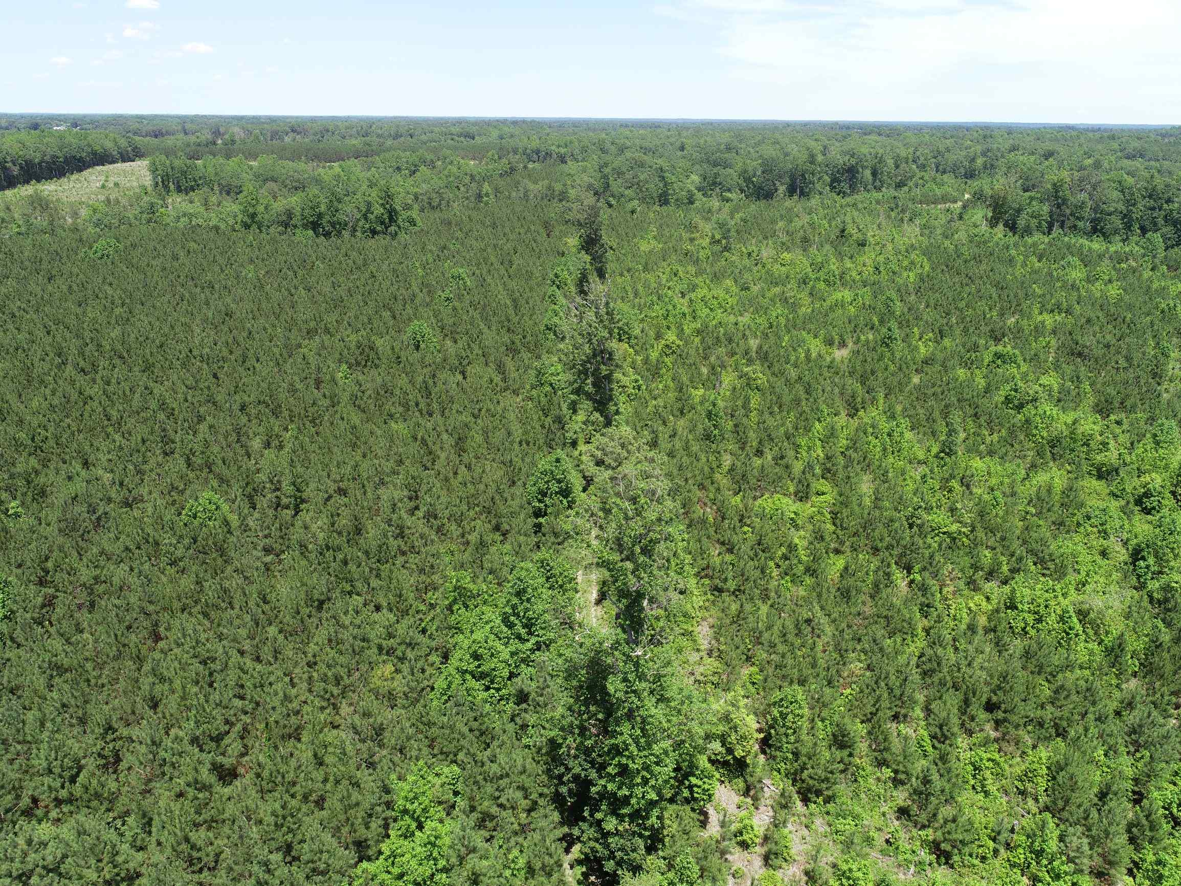 Advance Land and Timber Land for sale property_imgs/27~10.jpg