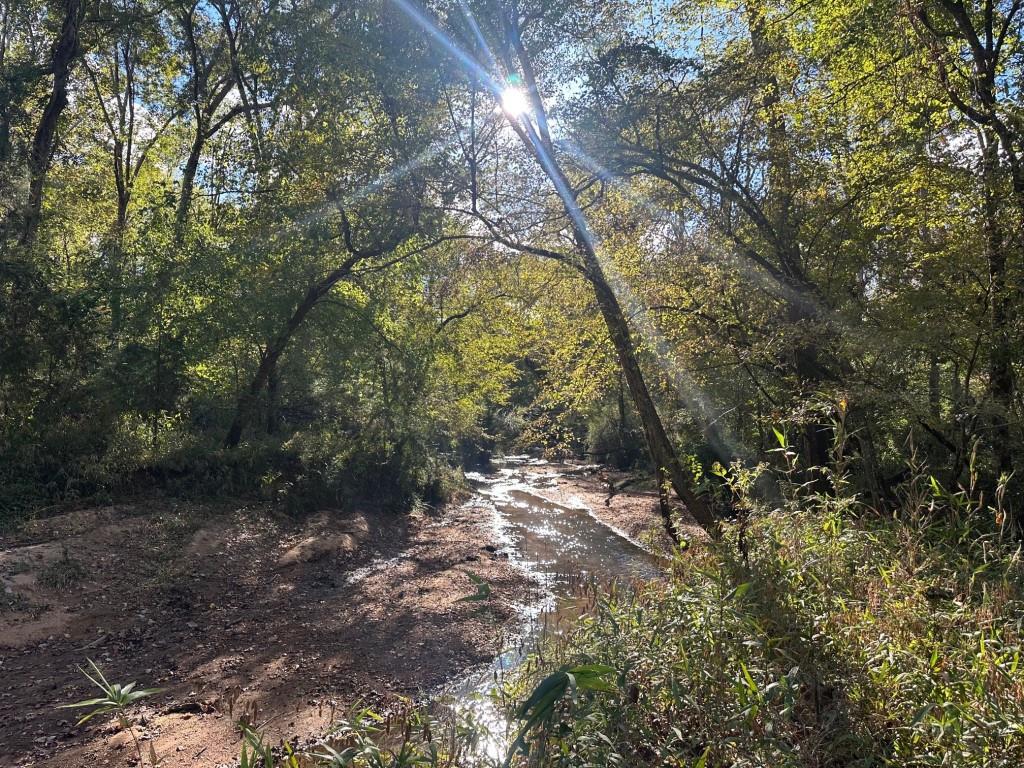 Newberry County South Carolina Land for Sale