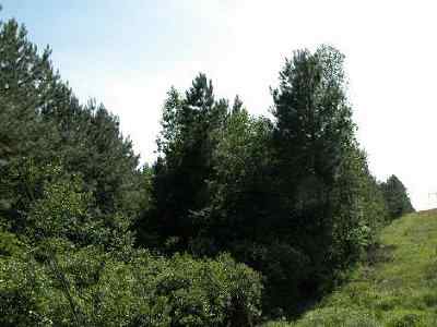 Advance Land and Timber Land for sale property_imgs/298_3.jpg