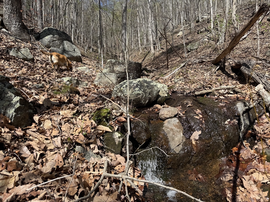 Advance Land and Timber Land for sale property_imgs/29daf9442f3c0b60642b14c081b4a556_2251.jpeg