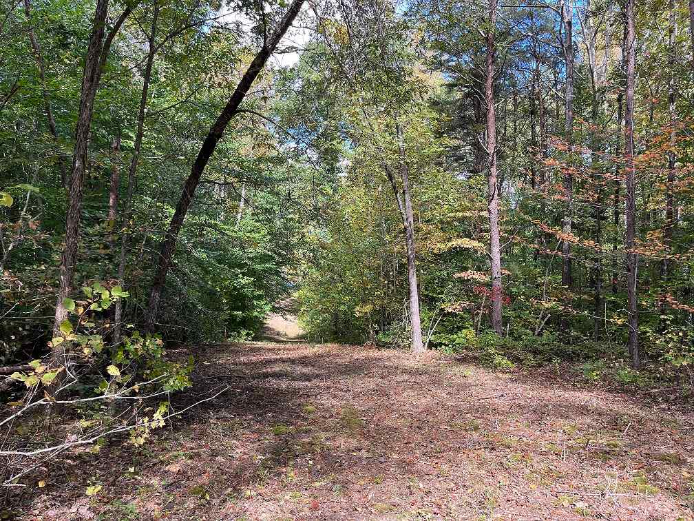 Advance Land and Timber Land for sale property_imgs/2c26f9a59b0ba61233e6fc0af8e47f14.jpg