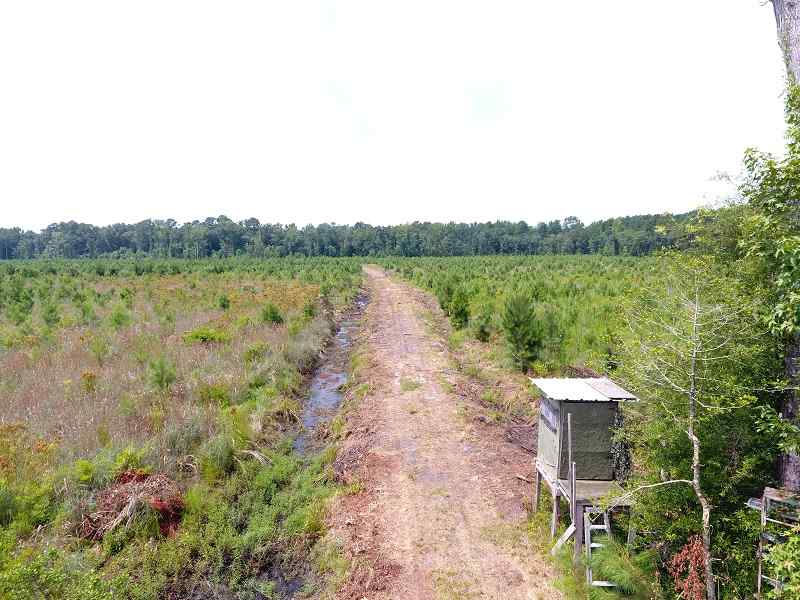 Advance Land and Timber Land for sale property_imgs/2c60e40b399dc55d8b755ec6b5d09f8a_1891.jpg