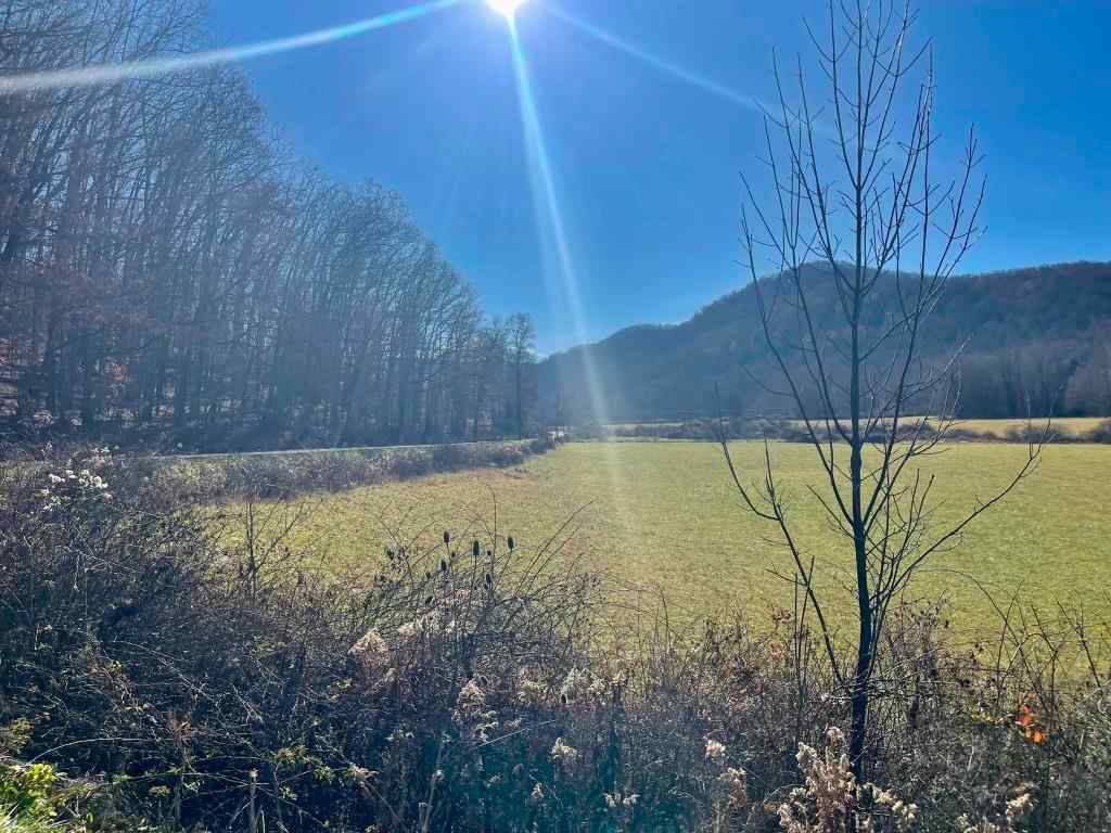 Randolph County West Virginia Land for Sale