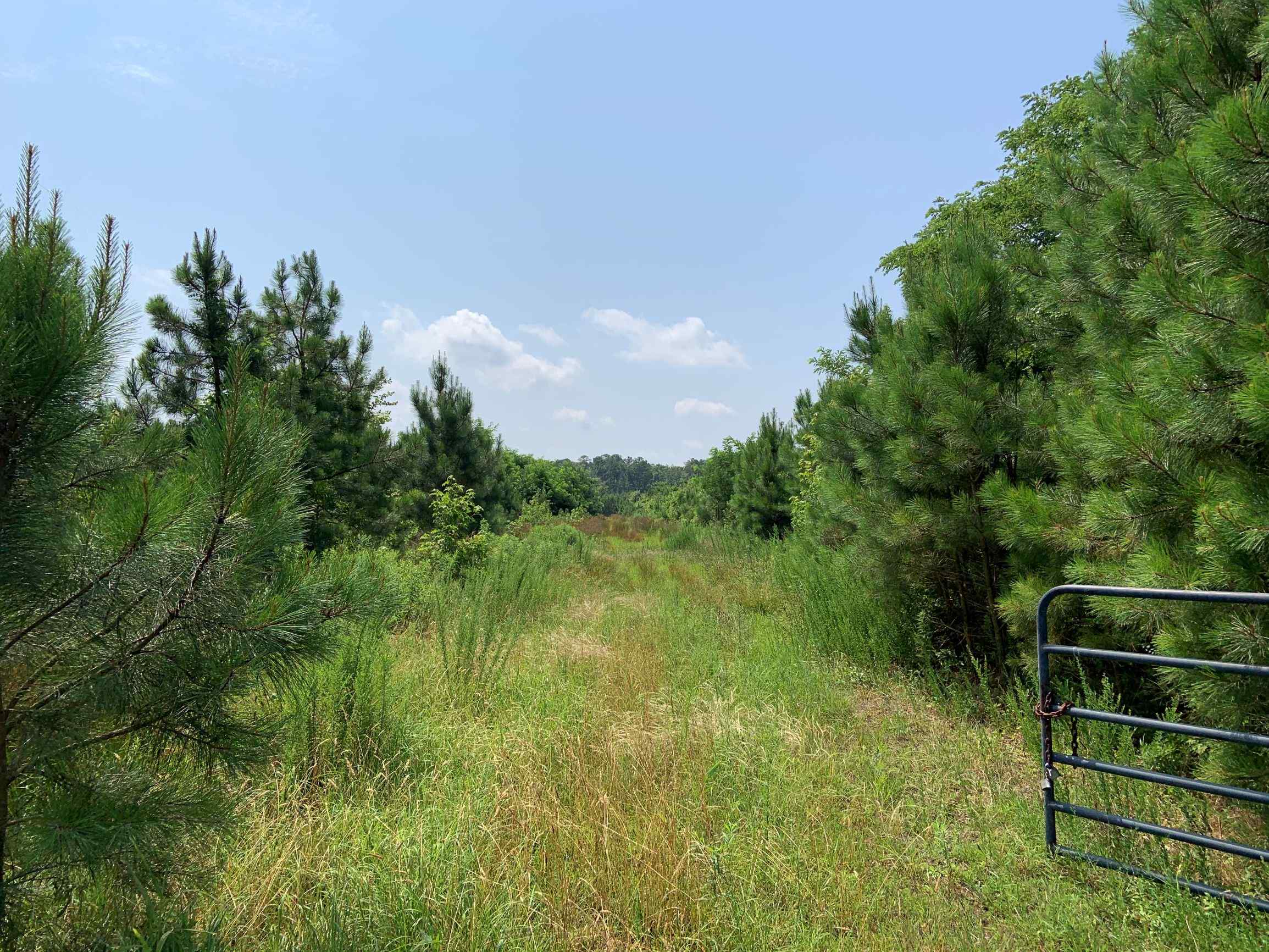 Advance Land and Timber Land for sale property_imgs/2~114.jpg