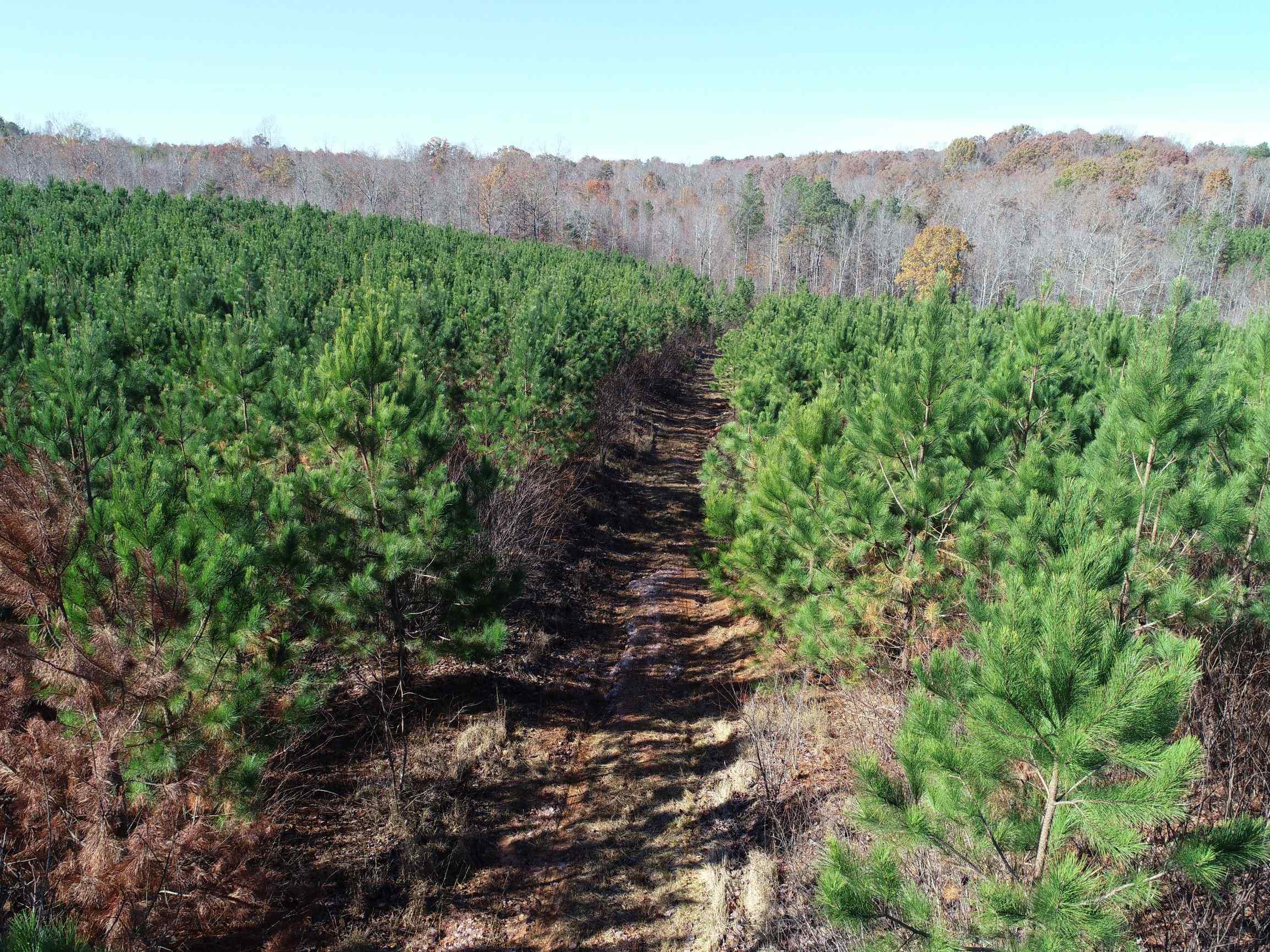 Advance Land and Timber Land for sale property_imgs/2~116.jpg