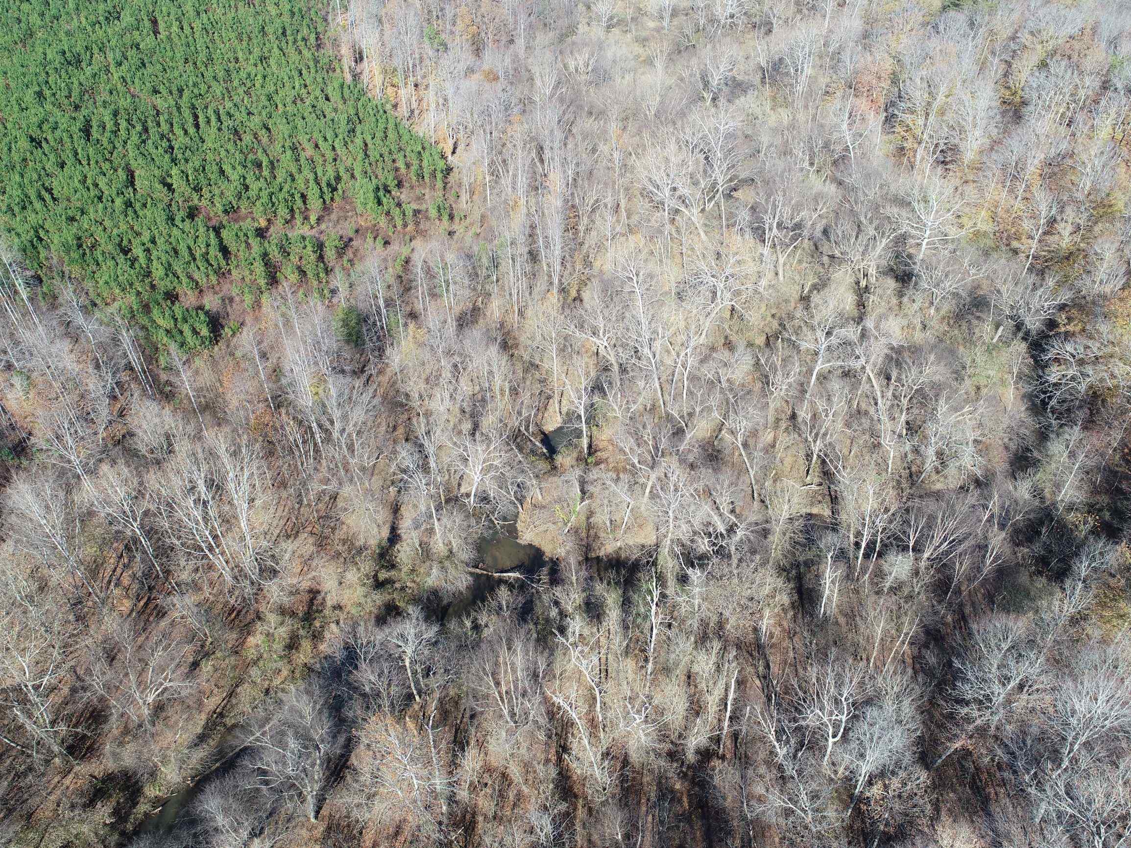 Advance Land and Timber Land for sale property_imgs/2~117.jpg