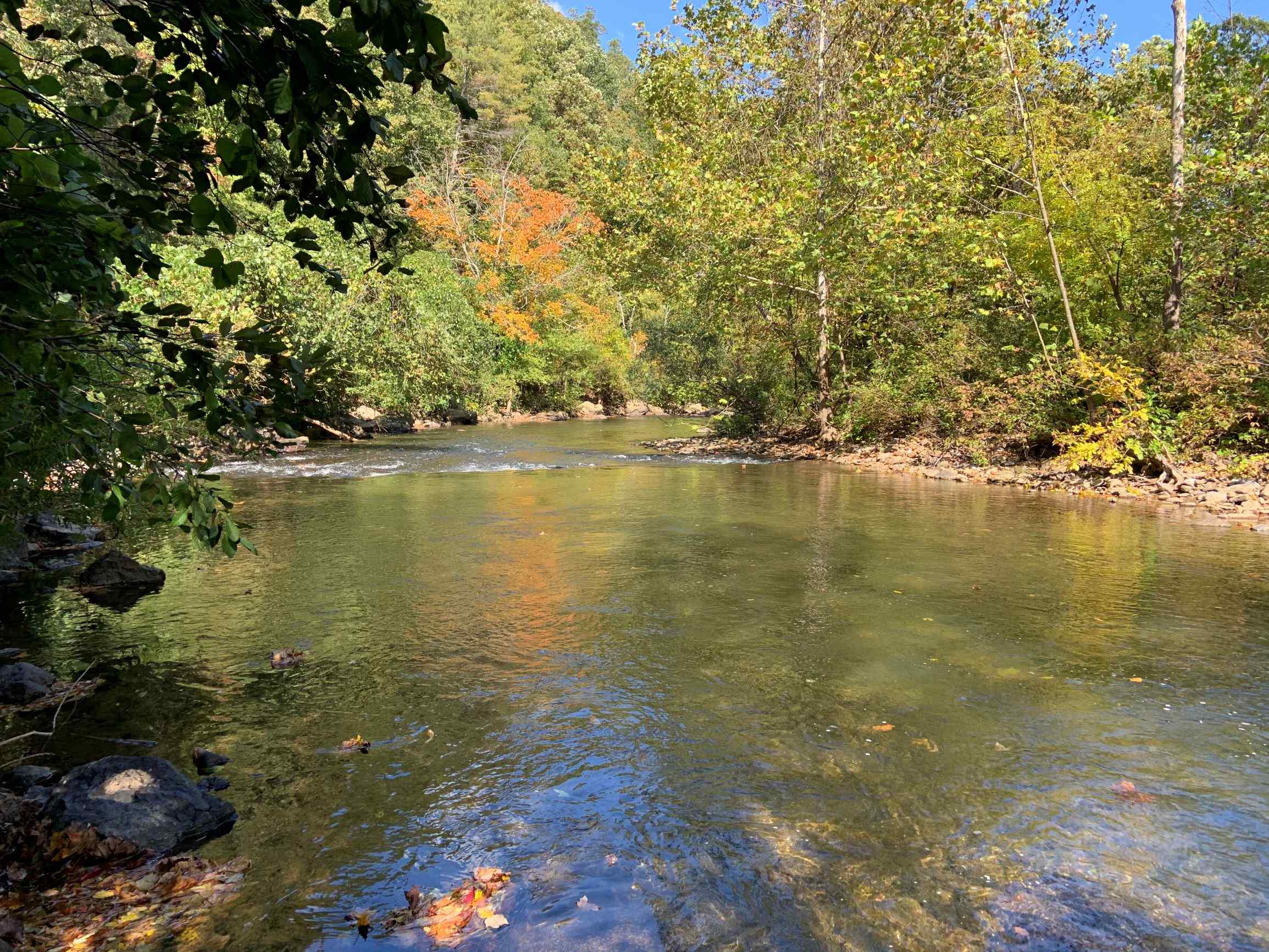 Advance Land and Timber Land for sale property_imgs/2~128.jpg