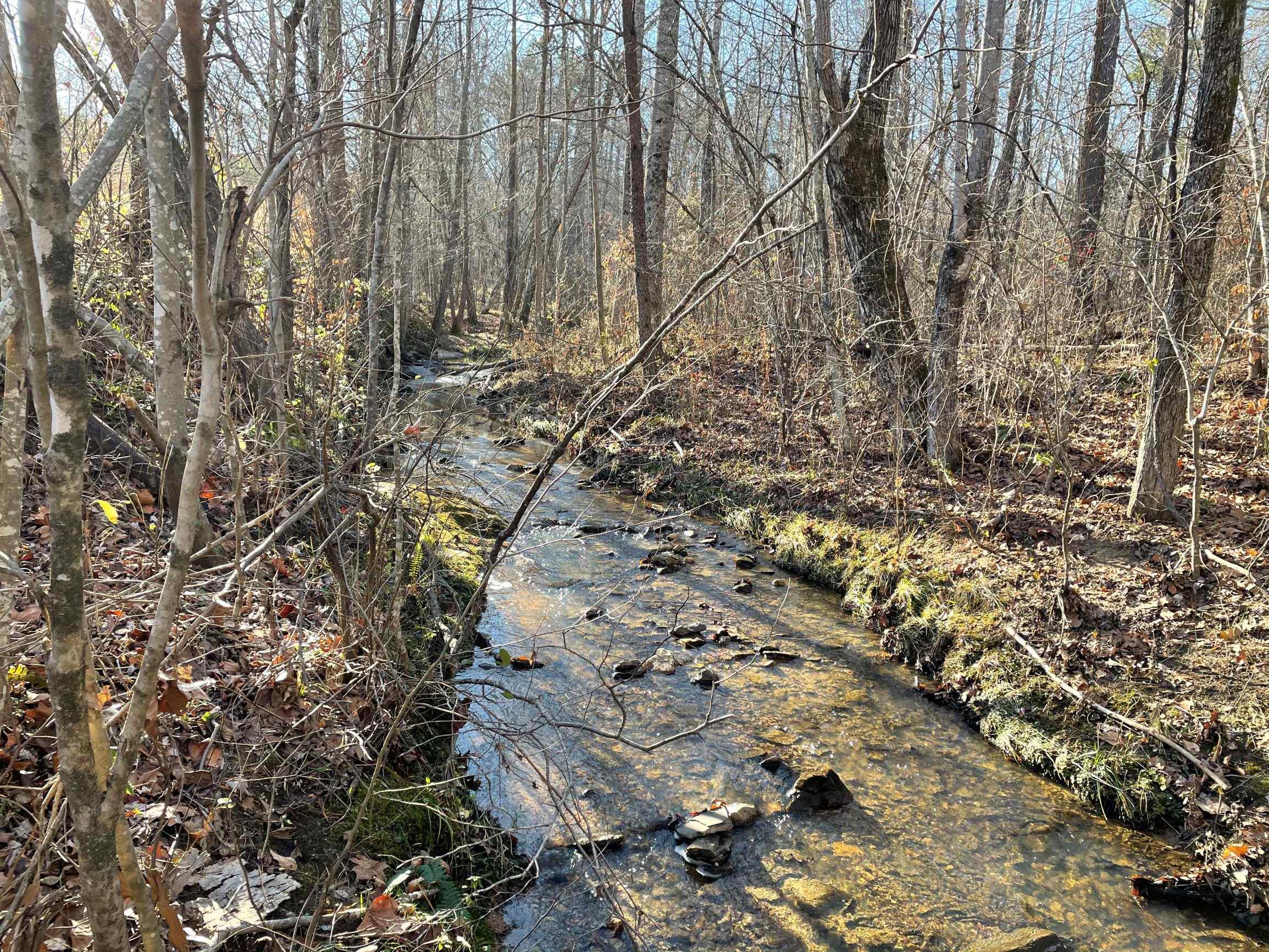 Advance Land and Timber Land for sale property_imgs/2~132.jpg