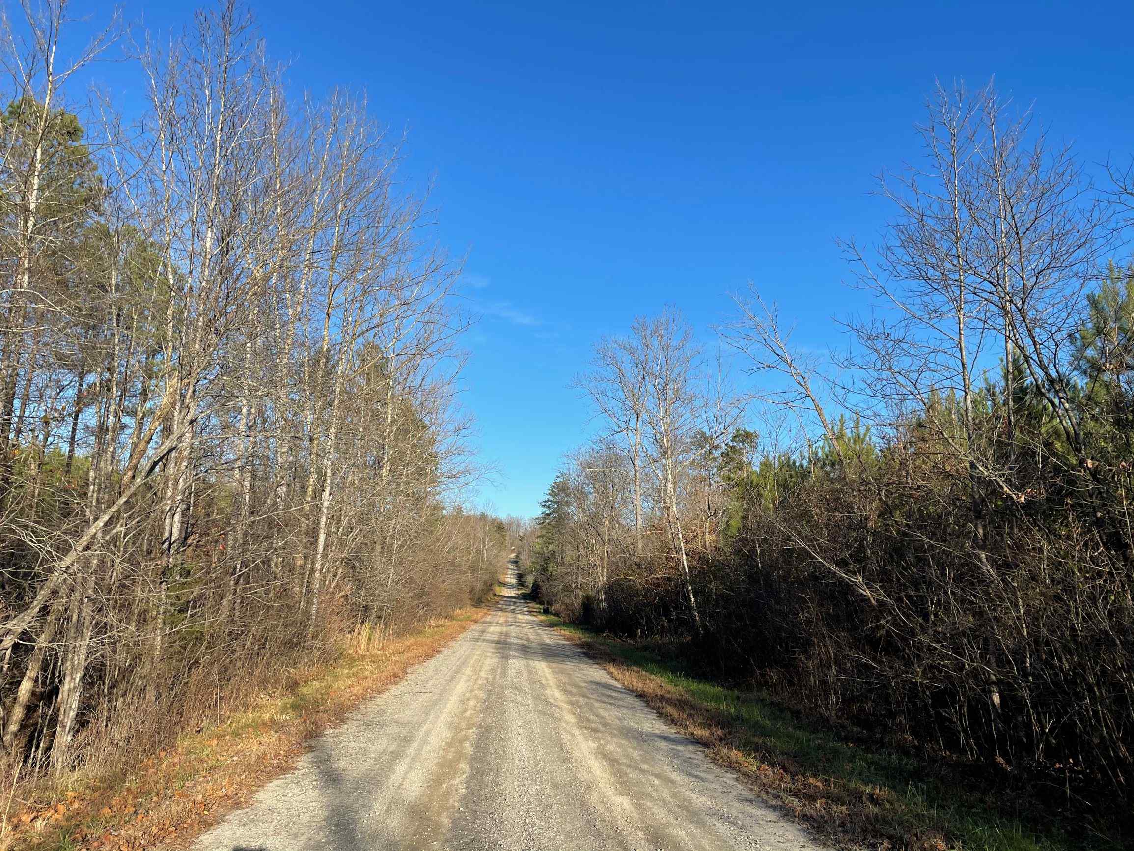 Advance Land and Timber Land for sale property_imgs/2~133.jpg