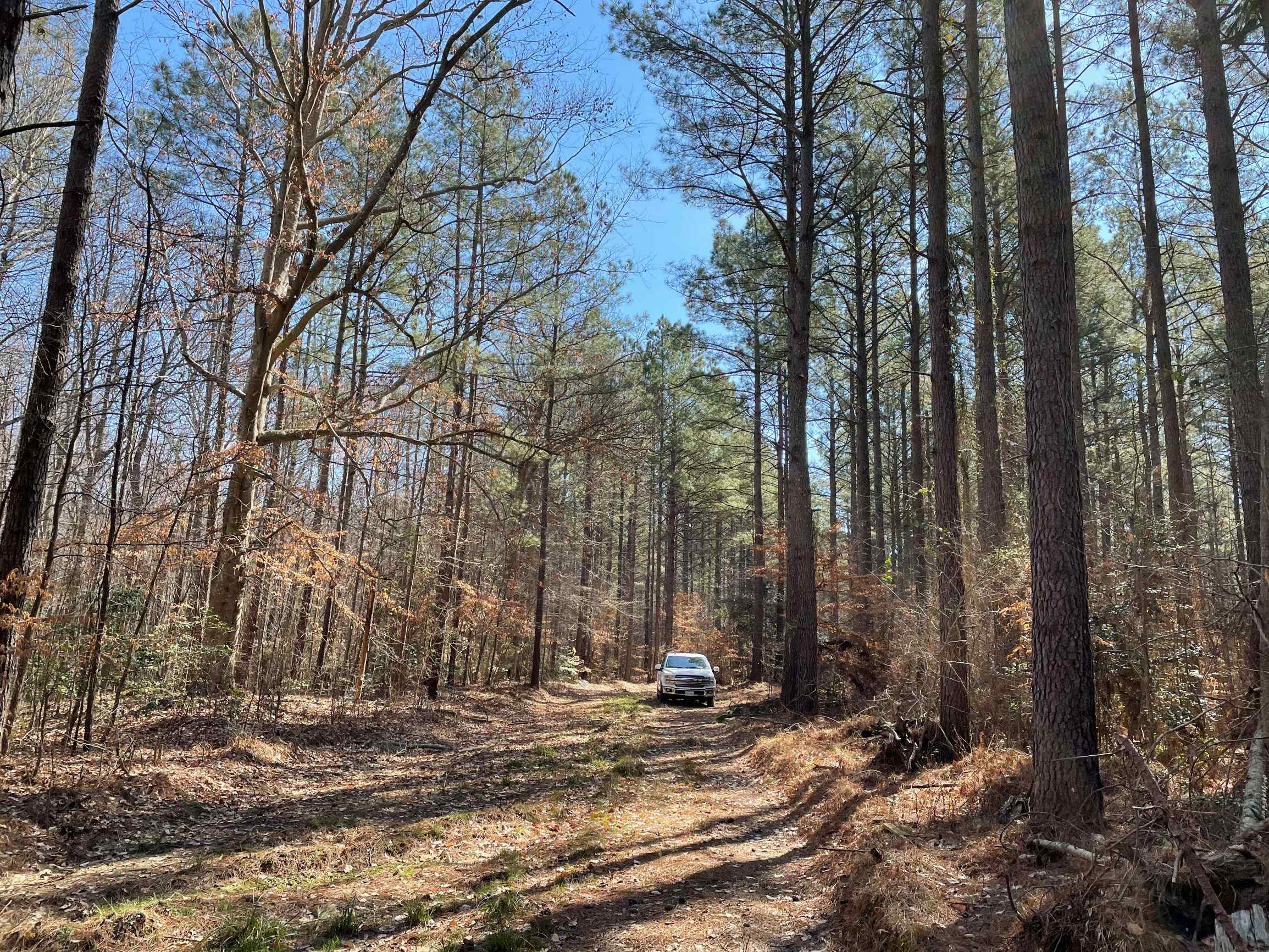 Advance Land and Timber Land for sale property_imgs/2~155.jpg