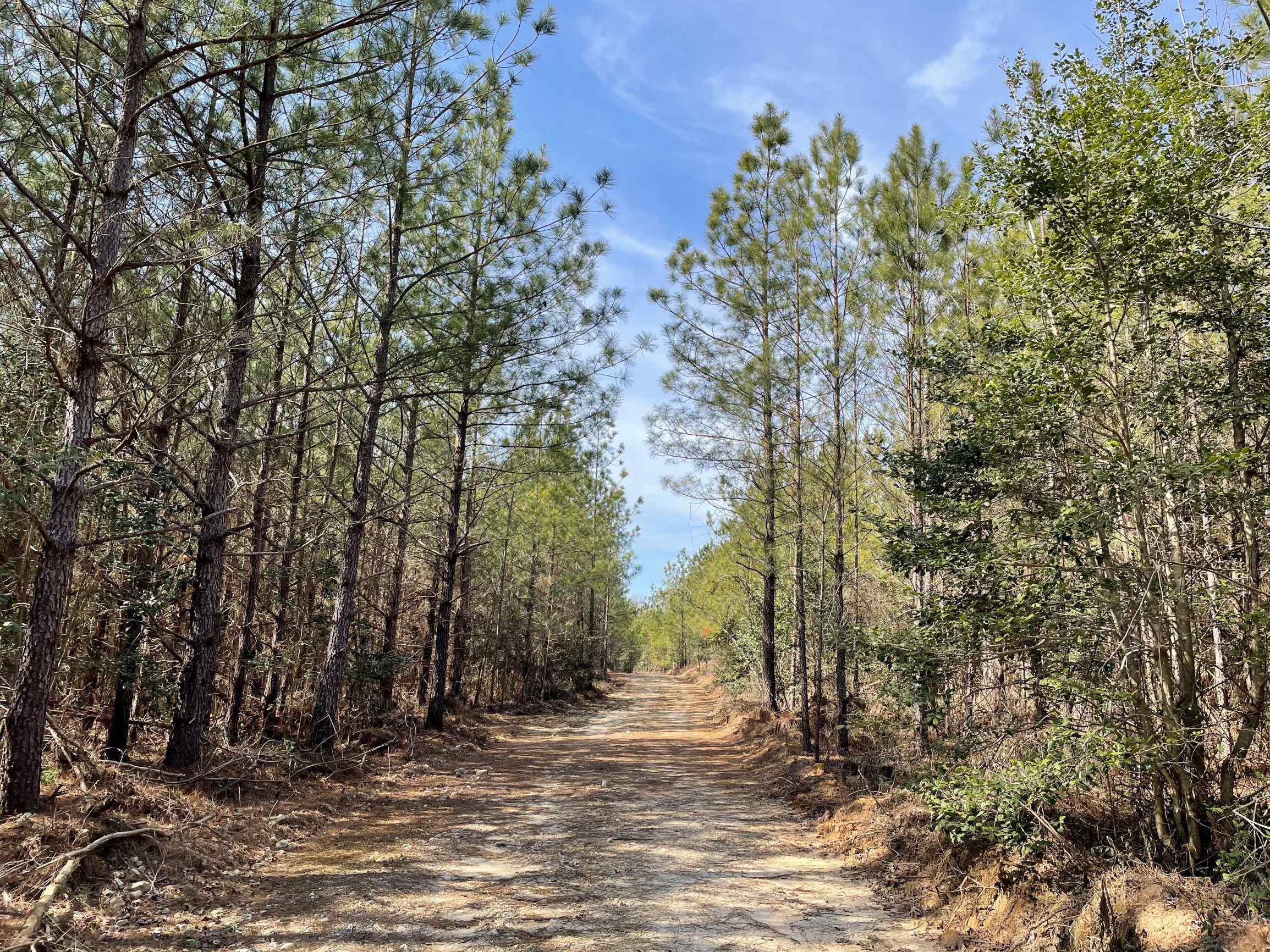 Advance Land and Timber Land for sale property_imgs/2~159.jpg