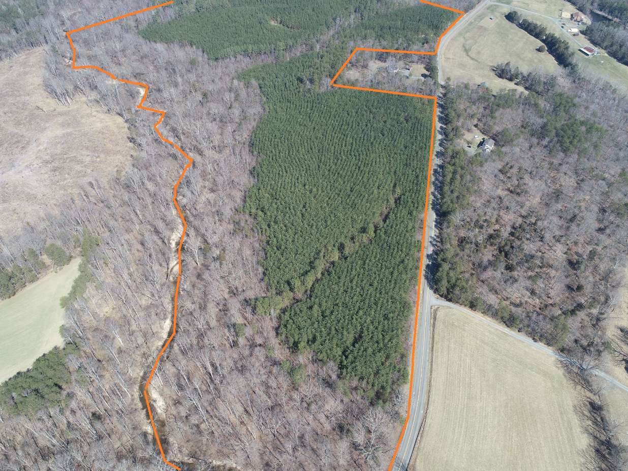 Advance Land and Timber Land for sale property_imgs/2~165.jpg