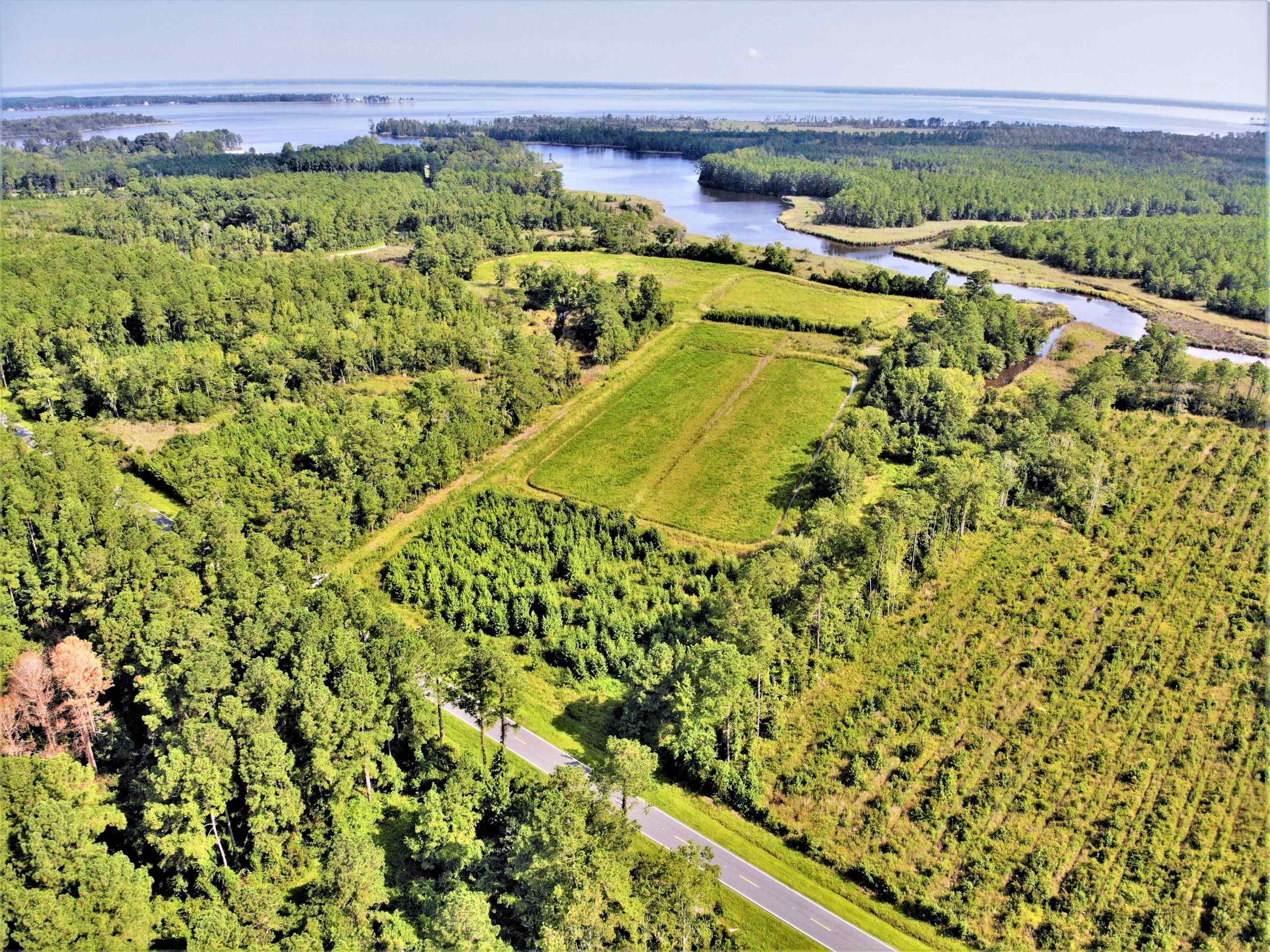 Advance Land and Timber Land for sale property_imgs/2~176.jpg