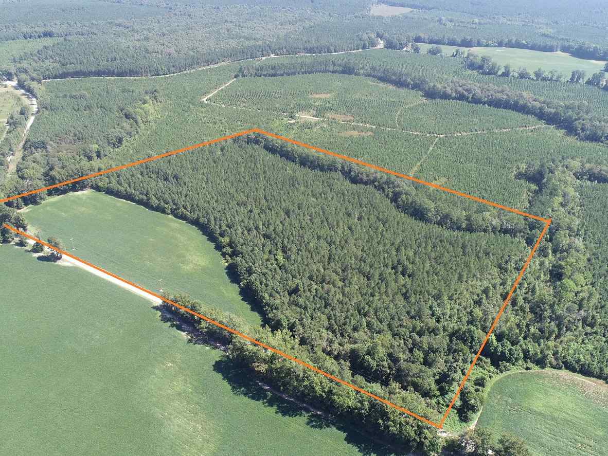 Advance Land and Timber Land for sale property_imgs/2~180.jpg