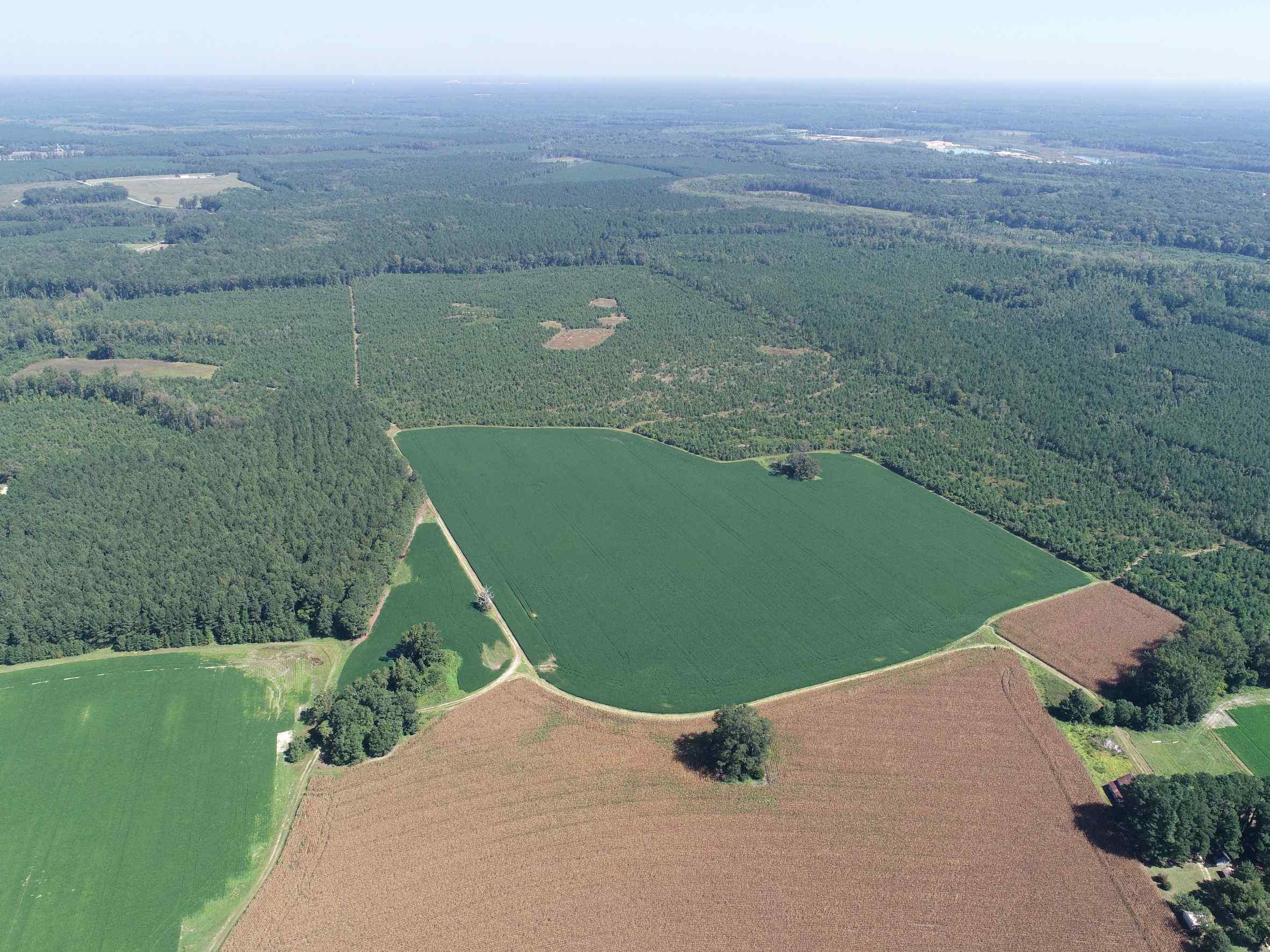 Advance Land and Timber Land for sale property_imgs/2~183.jpg