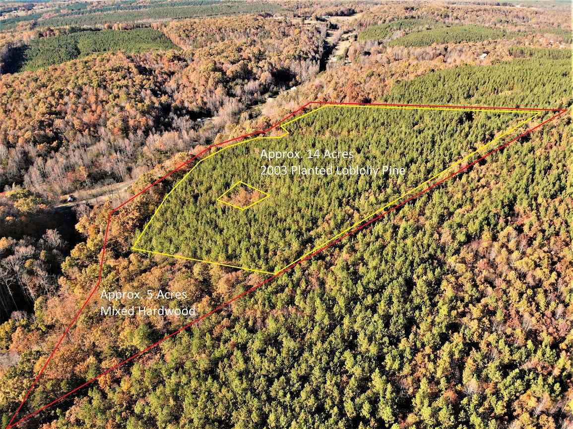 Advance Land and Timber Land for sale property_imgs/2~188.jpg