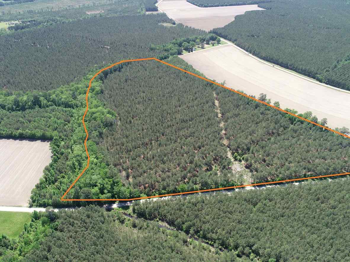 Advance Land and Timber Land for sale property_imgs/2~236.jpg