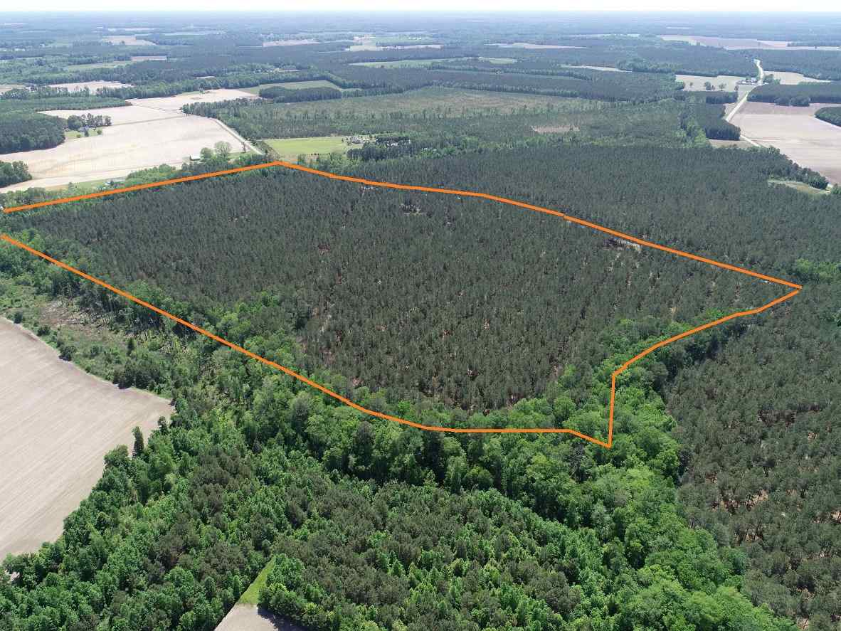 Advance Land and Timber Land for sale property_imgs/2~237.jpg