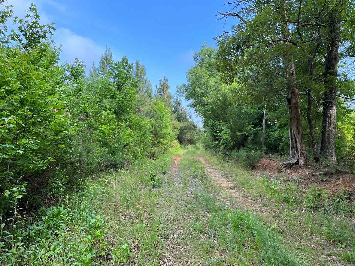 Advance Land and Timber Land for sale property_imgs/2~258.jpg