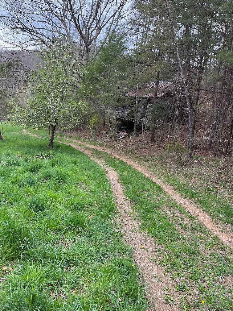 Advance Land and Timber Land for sale property_imgs/2~26.jpg