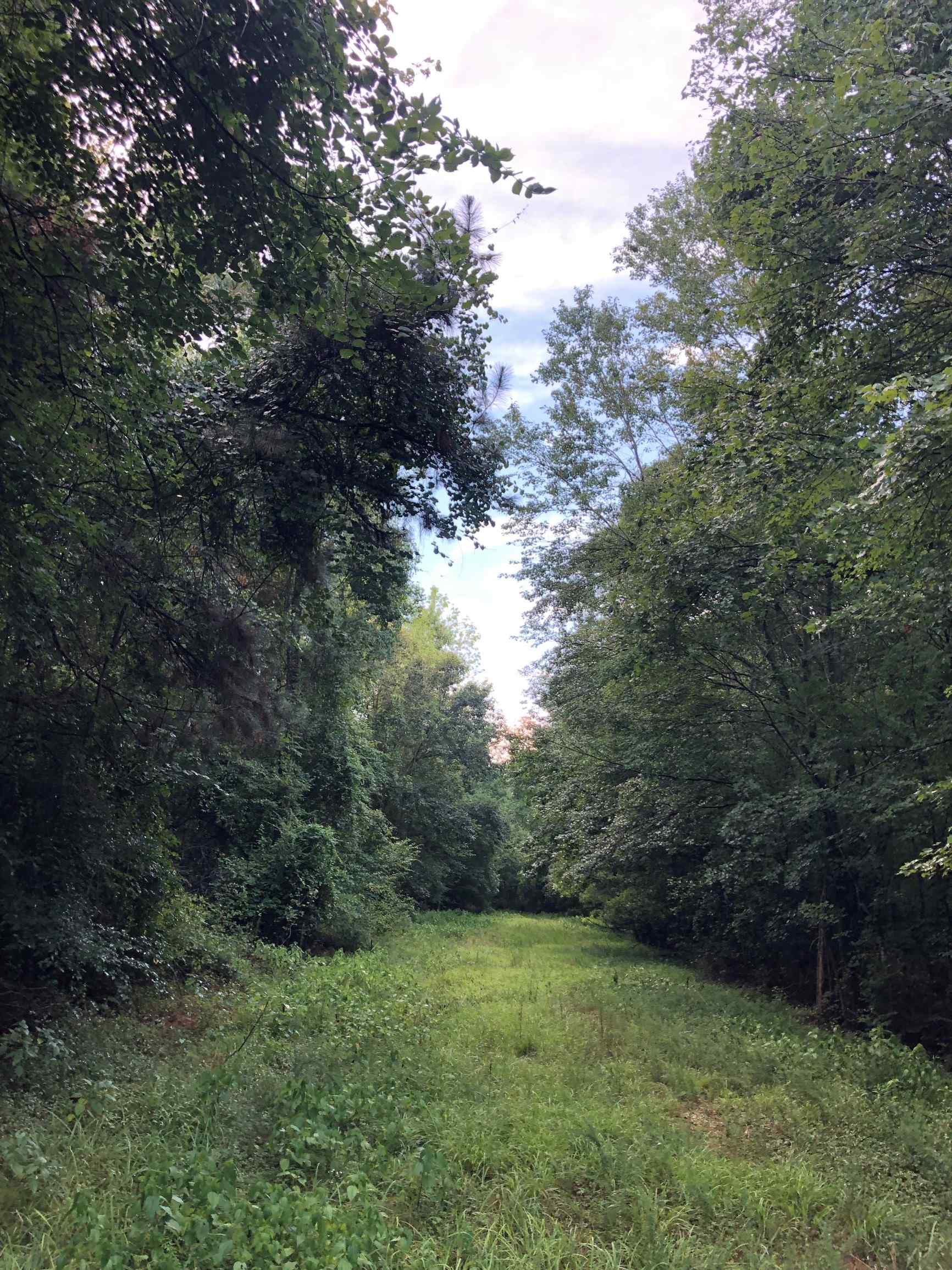 Advance Land and Timber Land for sale property_imgs/2~46.jpg