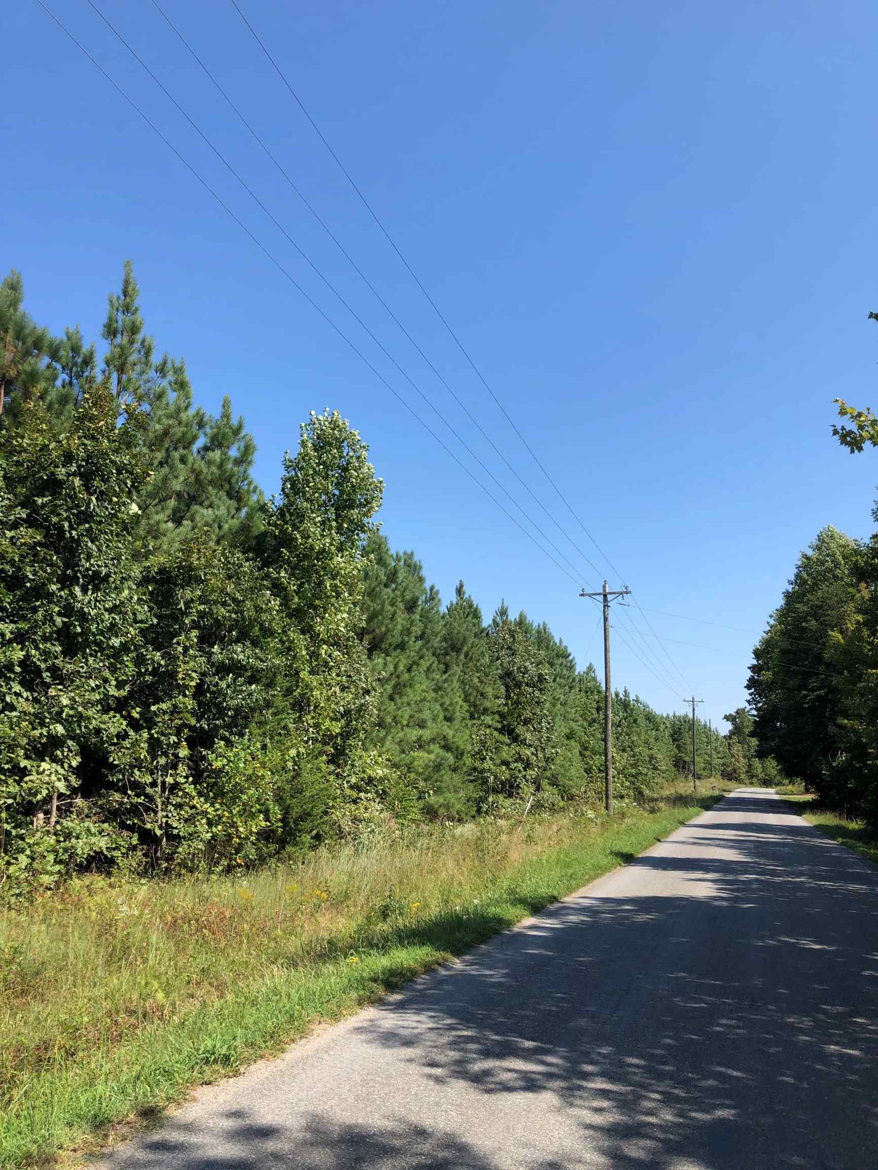 Advance Land and Timber Land for sale property_imgs/2~65.jpg