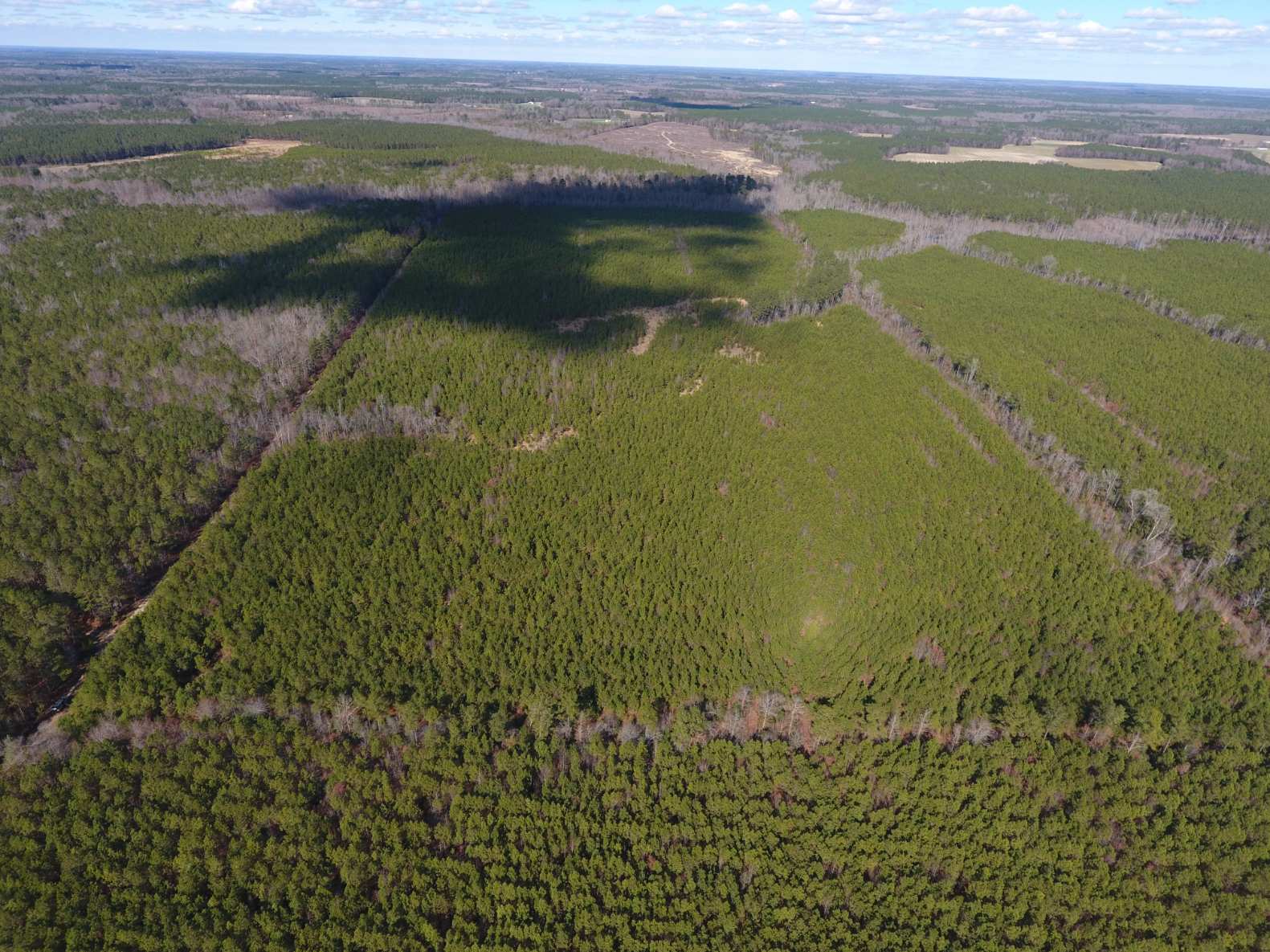 Advance Land and Timber Land for sale property_imgs/2~8.jpg