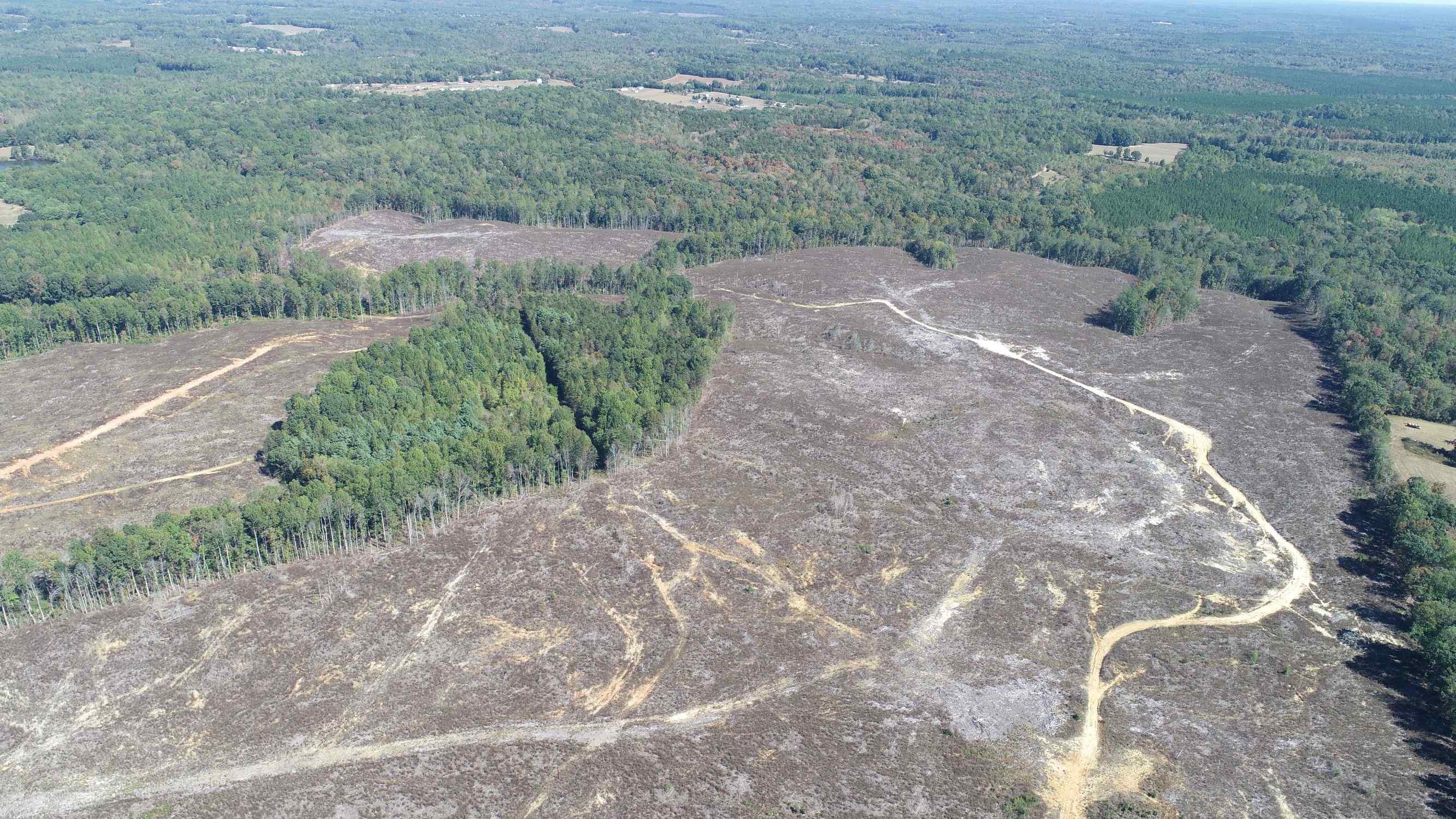 Advance Land and Timber Land for sale property_imgs/2~83.jpg