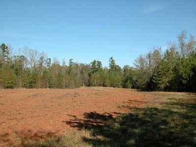 Advance Land and Timber Land for sale property_imgs/312_4.jpg
